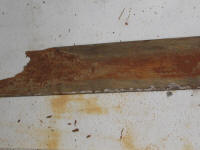 Subterranean termite damage to meranti skirting board